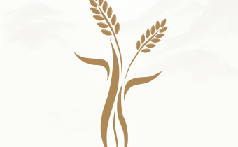 米禾閱讀 v1.5.4 去廣告