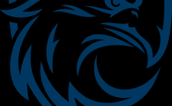 藍(lán)鷹去廣 v1.0 xposed模塊