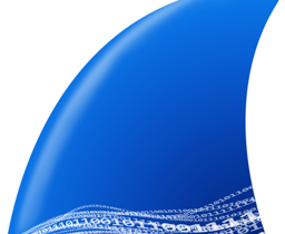 Wireshark(網(wǎng)絡(luò)協(xié)議分析器) v4.6.1 便攜版